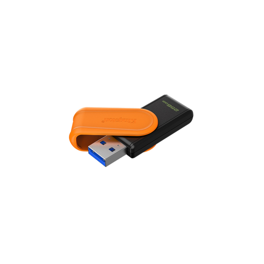 Pen Drive KINGSTON 256GB USB 3.2 DTXS