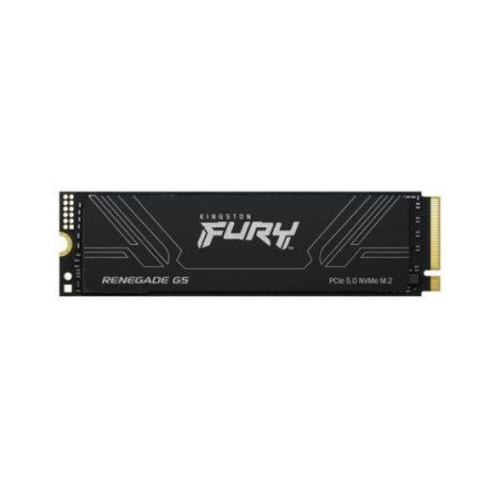 DISCO SSD 1TB KINGSTON FURY RENEGADE GEN5 NVME PCIE 5.0