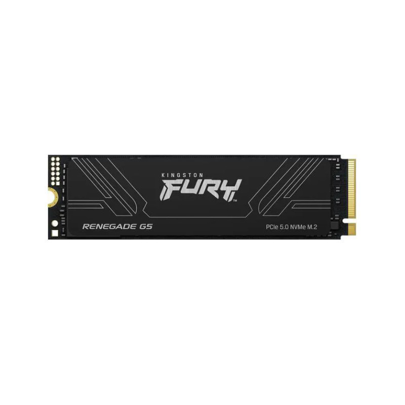 DISCO SSD 1TB KINGSTON FURY RENEGADE GEN5 NVME PCIE 5.0