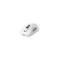 Mouse Gamer Raptor Storm Grip Wireless 7 botones 24000dpi RGB Pixart Sensor White