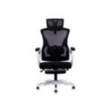 Silla Gamer Raptor Throne S10 Blanca