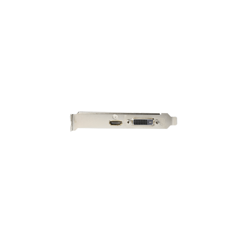 Placa de Video VGA Gigabyte GeForce GT 1030 GDDR4 2G LP