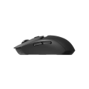 Mouse Logitech G309 Lightspeed Wireless Black 910-007198